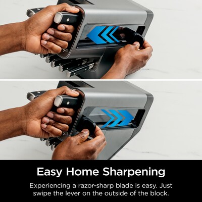 Ninja Foodi NeverDull Premium K32017 Premium Knife Set, 17 Pieces (K32017)