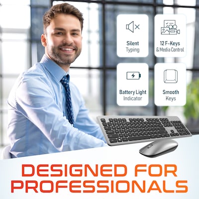 Delton K100 Wireless Keyboard and Optical Mouse Combo, Silver (DKMK100-WB)