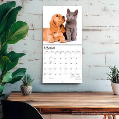 2027 BrownTrout Kittens & Puppies 12" x 12" Monthly Wall Calendar (9798330711796)
