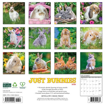 2026 Willow Creek Bunnies 12 x 12 Monthly Wall Calendar (50446)
