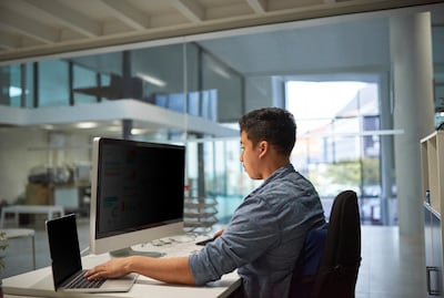 3M Anti-Glare Privacy Filter for 24" Apple iMac Monitor, 16:9 Aspect Ratio (PFMAP004M)