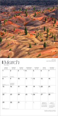 2026 BrownTrout California National Parks 12" x 12" Monthly Wall Calendar (9798330702725)