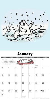 2027 Willow Creek Simon's Cat 12" x 12" Monthly Wall Calendar, Assorted Colors (62340)