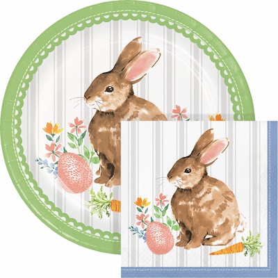 Creative Converting Cottage Easter Bunny Paper Plates and Napkins Kit, Serves 16 (DTC9199E2G)