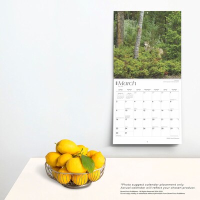 2025 BrownTrout Montana Wild & Scenic 12" x 12" Monthly  Wall Calendar (9781975475314)