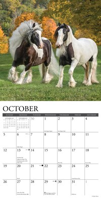 2025 Willow Creek Gypsy Vanner Horse 12" x 12" Monthly Wall Calendar (43264)