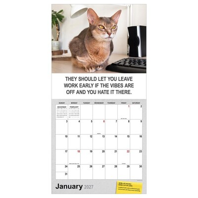 2027 TF Publishing Corporate Cats 12 x 12 Monthly Wall Calendar (27-1005)