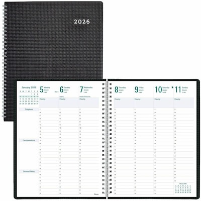 Rediform Timanager DuraFlex Appointment Book (REDC5930V81T)