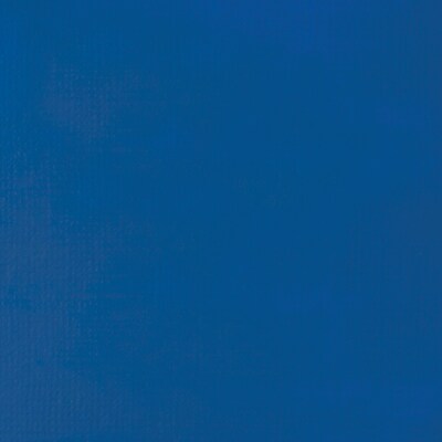 Liquitex BASICS Acrylic Paint Tube, Primary Blue, 250 mL (LIQ4385420)