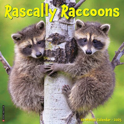 2025 Willow Creek Rascally Raccoons 12 x 12 Monthly Wall Calendar (44643)