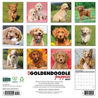 2027 Willow Creek Goldendoodle Puppies  12 x 12 Monthly Wall Calendar (60452)