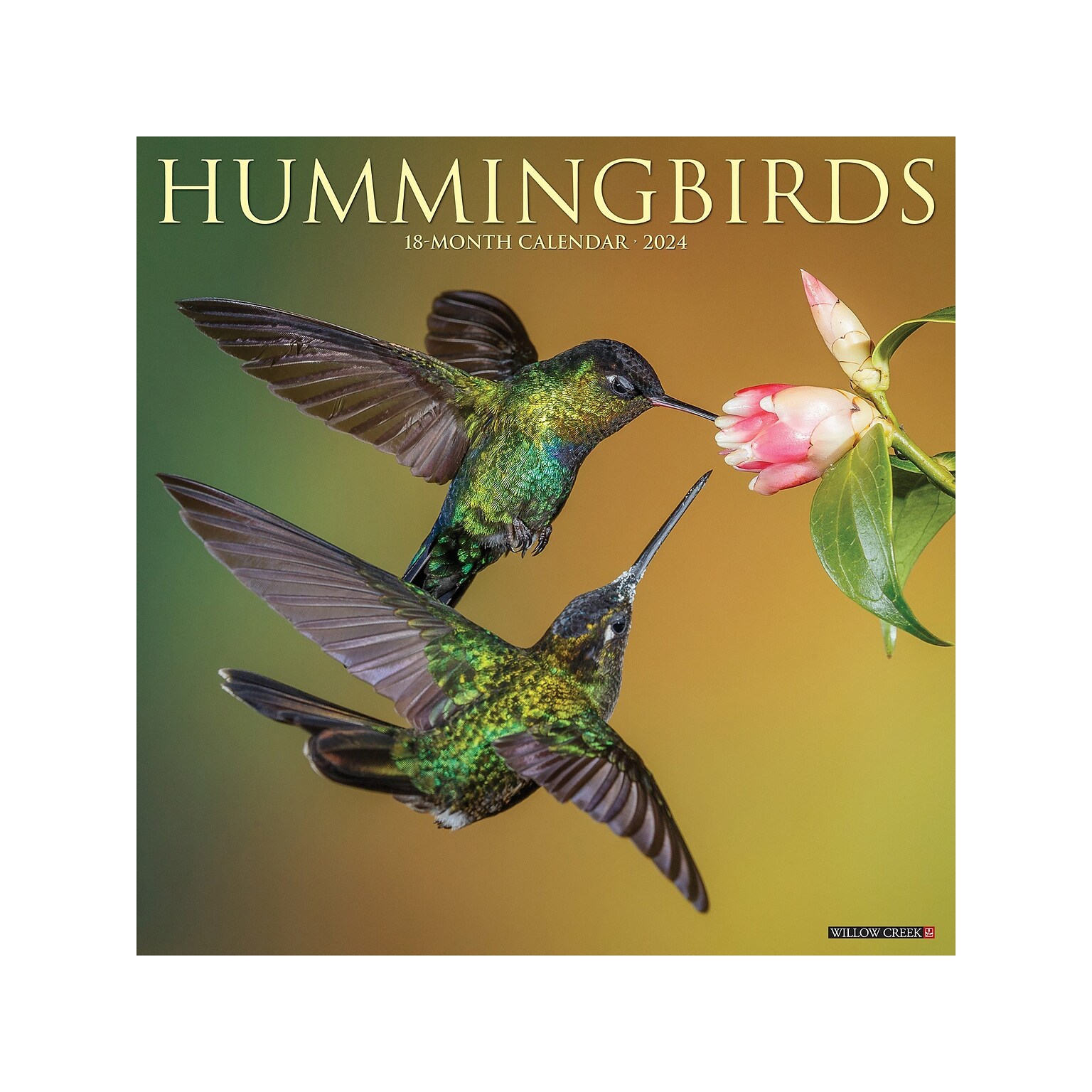 2024 Willow Creek Hummingbirds 12 x 12 Monthly Wall Calendar (33999X)