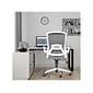 RAYNOR GROUP ION Fabric Task Chair, Gray/White (ION-WH-GRY)