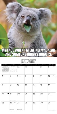 2026 Willow Creek Animal Antics 12" x 12" Monthly Wall Calendar (57735X)