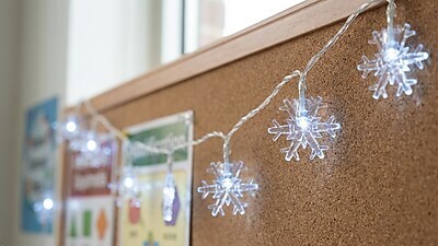 Excello Brands 20' Snowflake Holiday String Lights, 40 Lights (EGP-HL-SNF-20)