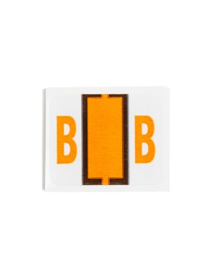 Smead BCCR Color Coded Alphabetic Labels, B, Light Orange, 500/Roll (67072)