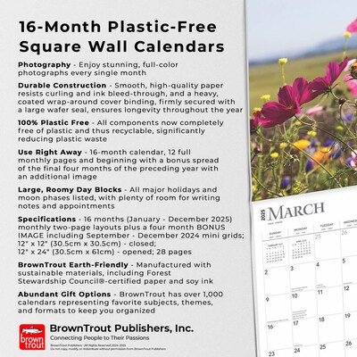 2025 BrownTrout Wildflowers 12" x 12" Monthly  Wall Calendar (9781975475949)
