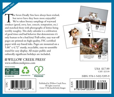 2026 Willow Creek Bad Kitties 6.2 x 5.4 Day-to-Day Calendar (53959)