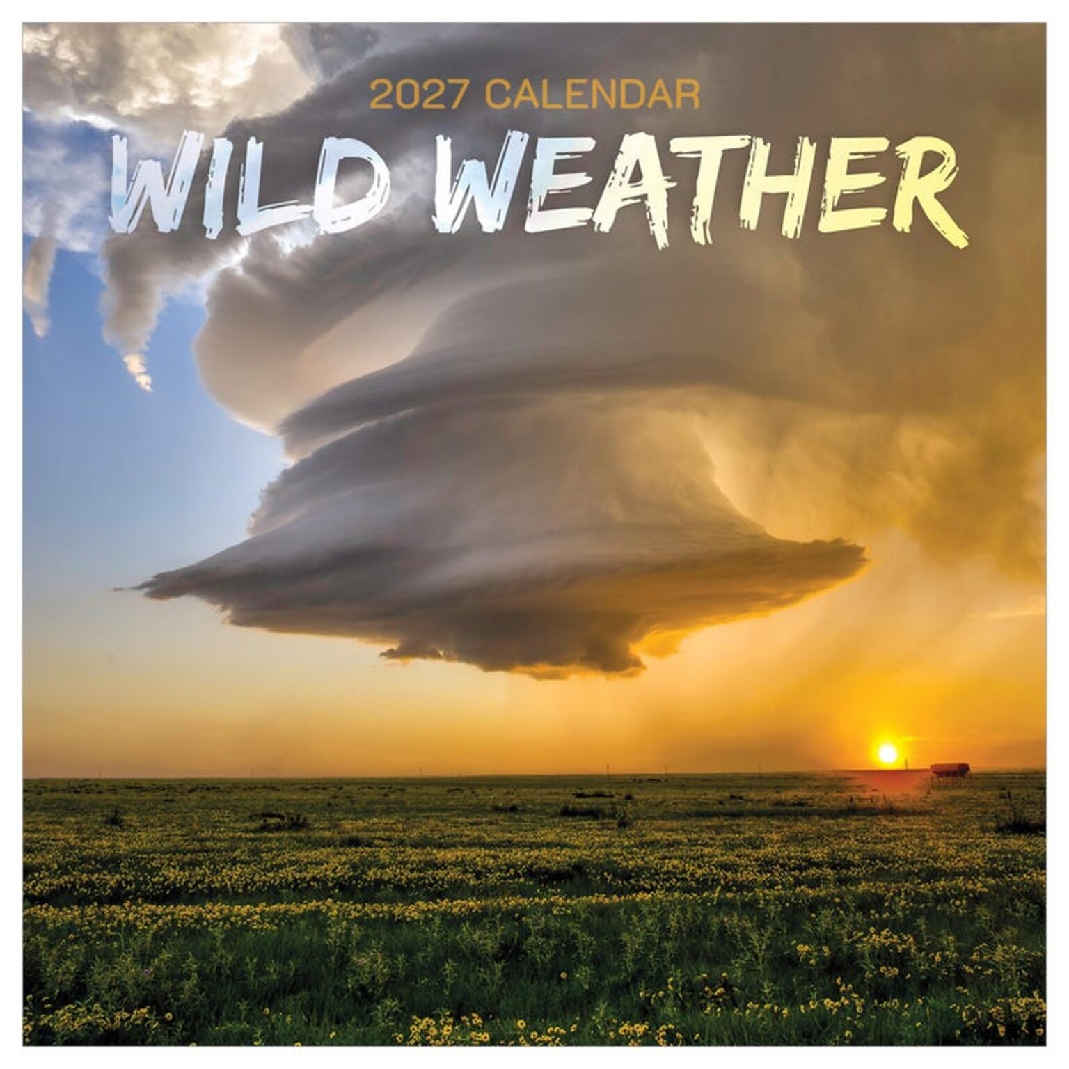 2027 TF Publishing Weather 12 x 12 Monthly Wall Calendar, Multicolored (27-1050)