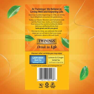 Twinings Earl Grey Black Tea Bags, 3.53 oz., 50/Box (TNA82221)