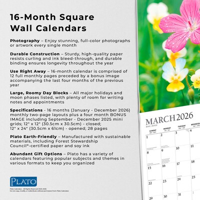 2026 Plato Wildflowers 12" x 12" Monthly Wall Calendar (9798330706662)