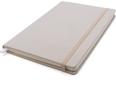 Pukka Pad Professional Notebooks, 5.11 x 8.2, College Ruled, 96 Sheets, Beige (9941-SIG)