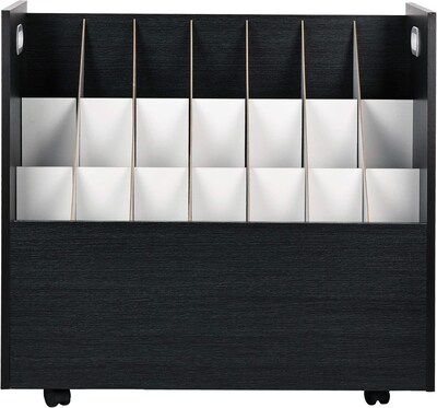 AdirOffice 21-Slot Mobile Roll File, 28.5H x 30W x 15.75D, Black, 2/Pack (625-BLK-2PK)