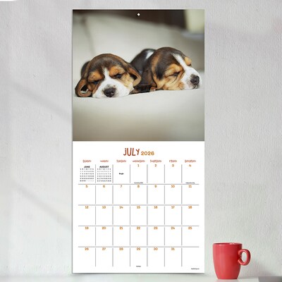 2026 TF Publishing Dog Dreams 12" x 12" Monthly Wall Calendar (26-1010)