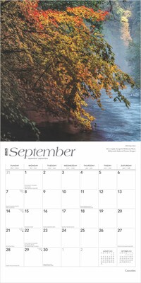 2025 BrownTrout Cascades 12" x 12" Monthly Wall Calendar (9781975474607)