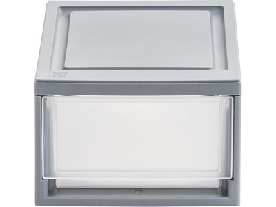 Iris Mini Storage Drawer, Gray/Translucent White (500221)