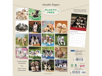 2024-2025 Plato Adorable Puppies 12" x 12" Academic & Calendar Monthly Wall Calendar (9781975481360)