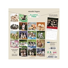 2024-2025 Plato Adorable Puppies 12 x 12 Academic & Calendar Monthly Wall Calendar (9781975481360)