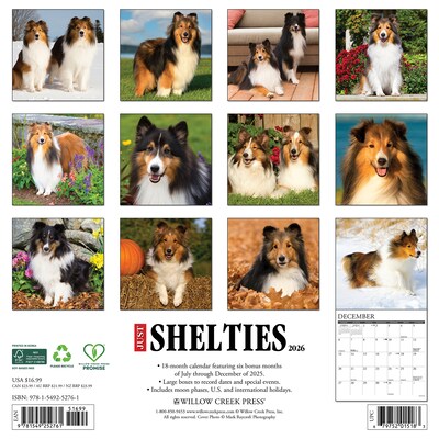 2026 Willow Creek Shelties 12 x 12 Monthly Wall Calendar (52761)