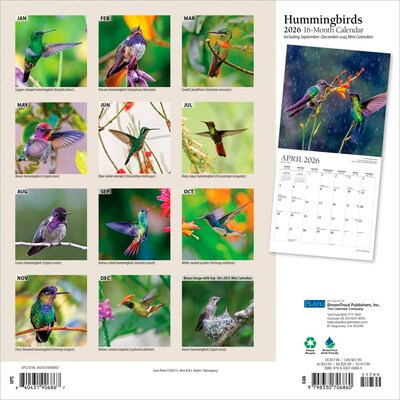 2026 Plato Hummingbirds 12 x 12 Monthly Wall Calendar (9798330706860)