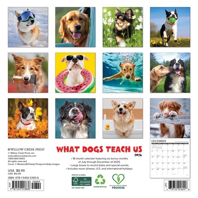 2026 Willow Creek What Dogs Teach Us 7 x 7 Monthly Wall Calendar (53836X)
