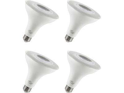 Viribright 12-Watt Cool White LED Floodlight Bulb, 4/Box (450160-ES)