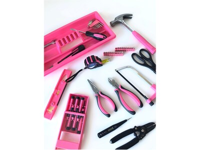 Apollo Tools Household Tool Kit, 170-Piece, Pink (DT7103P)