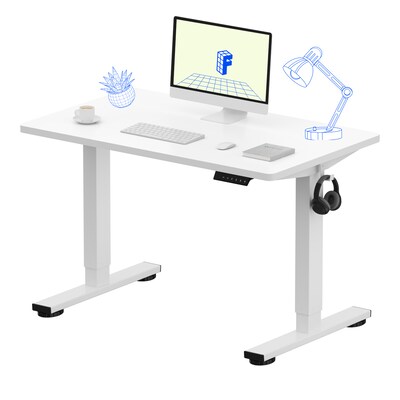 FlexiSpot E2 42W Electric Adjustable Standing Desk, White (E2W4224W)
