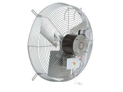 TPI CE-D 20 Industrial Wall Fan, 2-Speed, Silver (08689802)