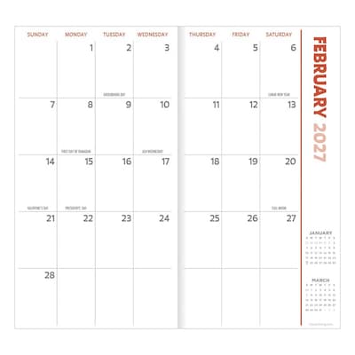 2027 TF Publishing Lemons 3.5" x 6.5"  Monthly Standard Planner, Paperboard Cover, Multicolored (27-7024)