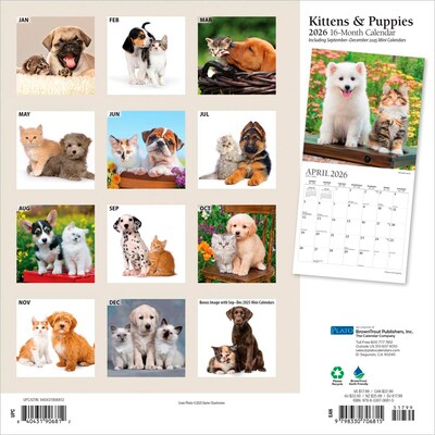 2026 Plato Kittens & Puppies 12 x 12 Monthly Wall Calendar (9798330706815)