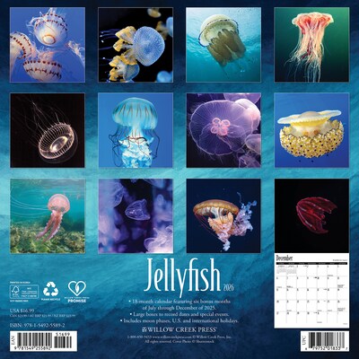 2026 Willow Creek Jellyfish 12 x 12 Monthly Wall Calendar (55892)