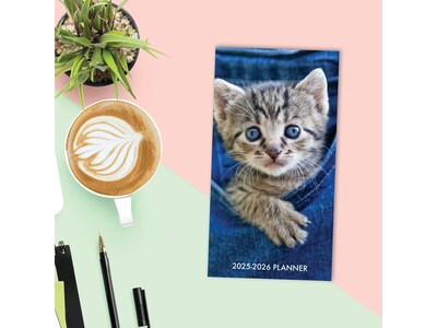 2025-2026 Willow Creek Cute As a Kitten 3.5" x 6.5" Monthly Planner, Paper Cover, Blue/Gray (46944)