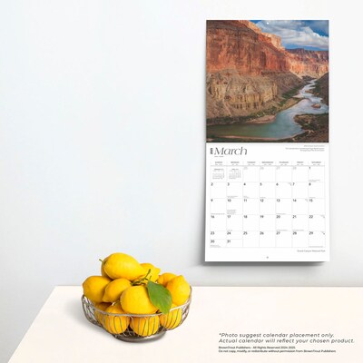 2025 BrownTrout Grand Canyon National Park 12" x 12" Monthly Square Wall Calendar (9781975474850)