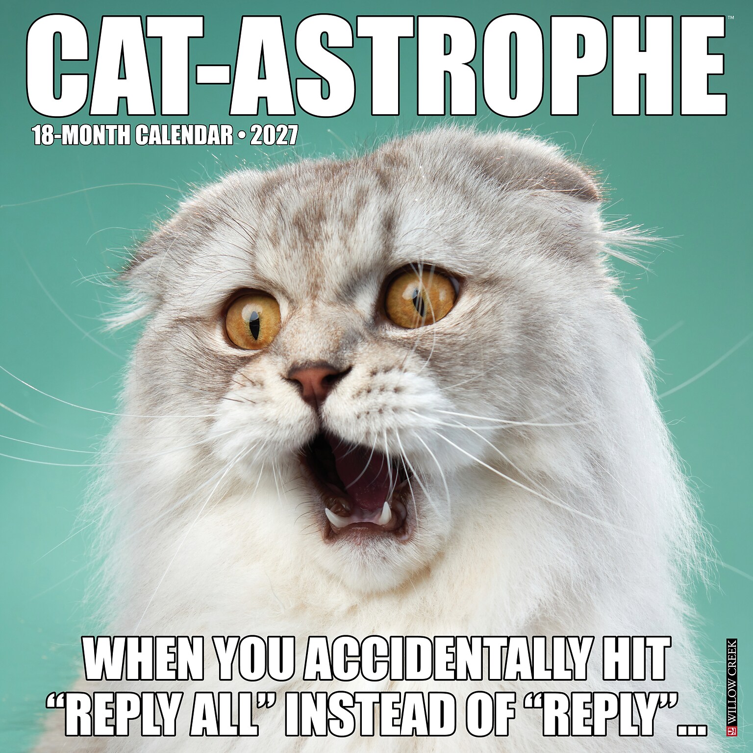 2027 Willow Creek Cat-astrophe 12 x 12 Monthly Wall Calendar, Assorted Colors (59555)