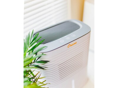 Crane 1.27-Pint Portable Dehumidifier, 2-Speed, Covers up to 300 sq. ft., White (EE-1000)