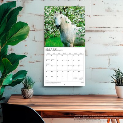 2026 BrownTrout Chevaux 12" x 12" Monthly Wall Calendar (9798330707362)