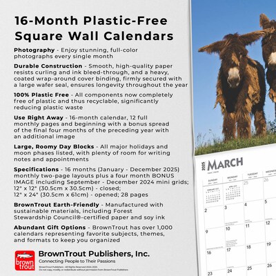 2025 BrownTrout Donkeys 12" x 24" Monthly Square Wall Calendar, (9781975476946)