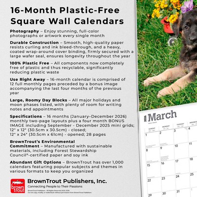 2026 BrownTrout German Shepherd Puppies 12" x 12" Monthly Wall Calendar (9798330703364)