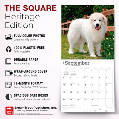 2027 BrownTrout Great Pyrenees 12" x 12" Monthly Wall Calendar (9798330712496)